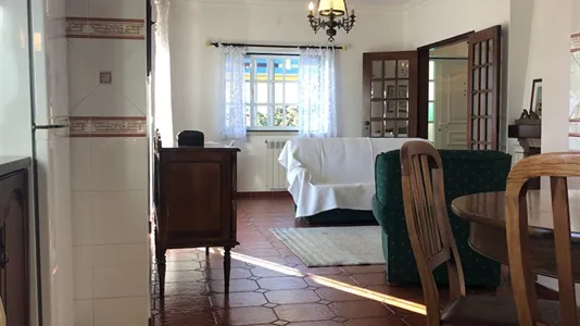 Houses in Cadaval - photo 8