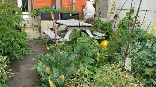 Rooms in Stad Antwerp - photo 7