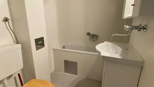 Apartments in Bad Fischau-Brunn - photo 4