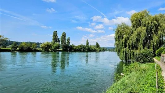 Apartments in Waldshut - photo 6