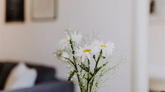 Apartments in Berlin Spandau - photo 6