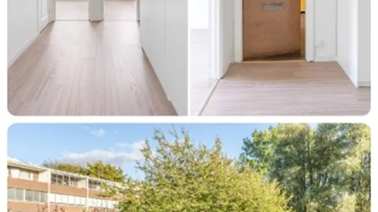 Apartments in Helsingborg - photo 9