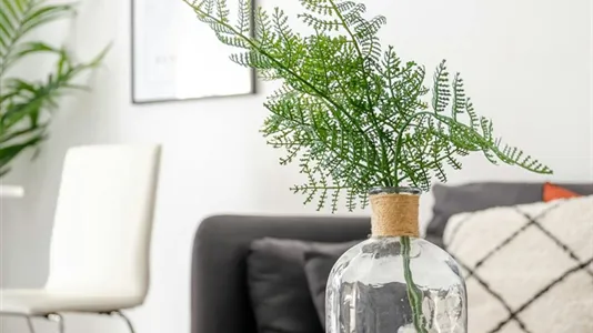 Rooms in Barcelona Eixample - photo 7