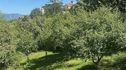 Houses in Montefalco - photo 6