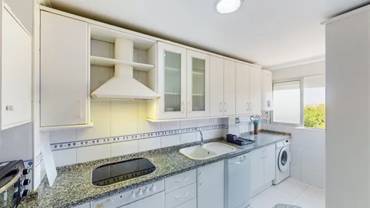 Rooms in Jerez de la Frontera - photo 7