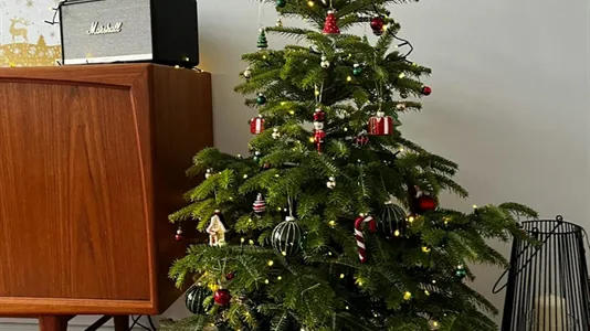 Apartments in Berlin Neukölln - photo 4