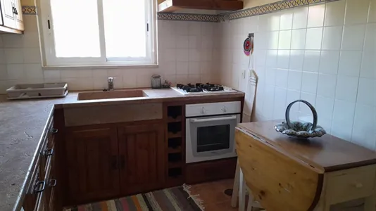 Houses in Tomar - photo 9