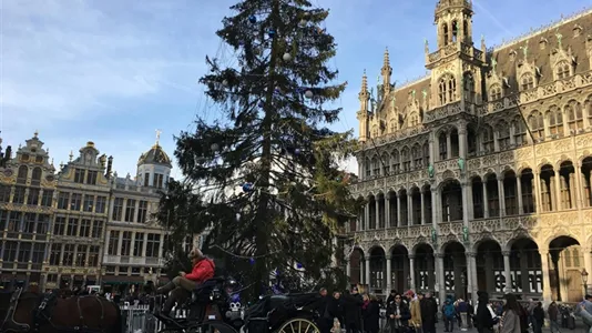 Rooms in Stad Brussel - photo 6