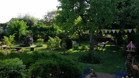 Rooms in Vorpommern-Rügen - photo 7