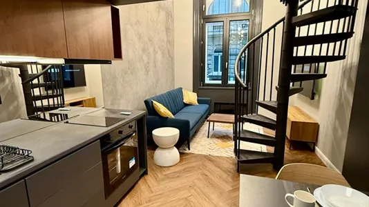 Apartments in Budapest Józsefváros - photo 4