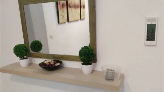 Rooms in El Cerezo - photo 9