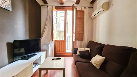 Apartments in Valencia Ciutat Vella - photo 3