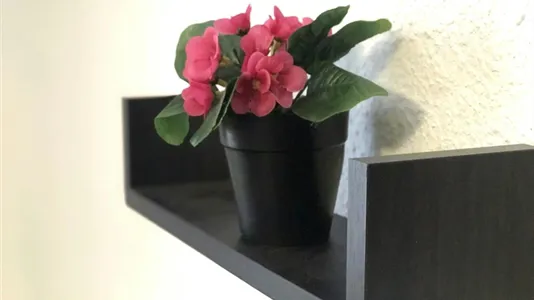 Rooms in Madrid Salamanca - photo 6