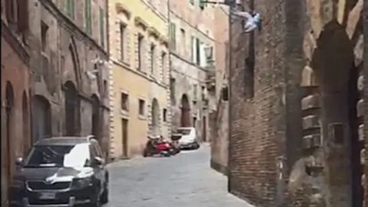 Rooms in Siena - photo 10