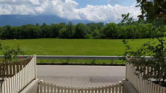 Rooms in Belluno - photo 6