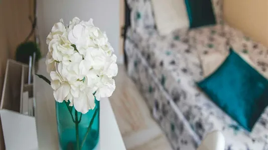 Rooms in Milano Zona 2 - Stazione Centrale, Gorla, Turro, Greco, Crescenzago - photo 5