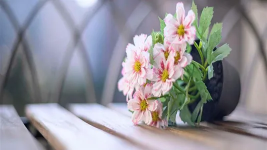 Rooms in Milano Zona 1 - Centro storico - photo 8