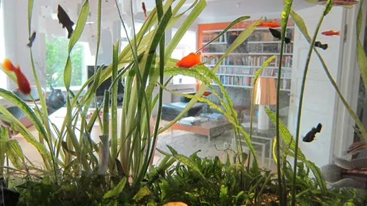 Rooms in Reykjavík Miðborg - photo 6