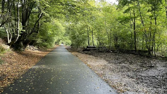 Apartments in Aachen - photo 10