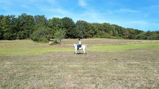 Houses in Albi - photo 10