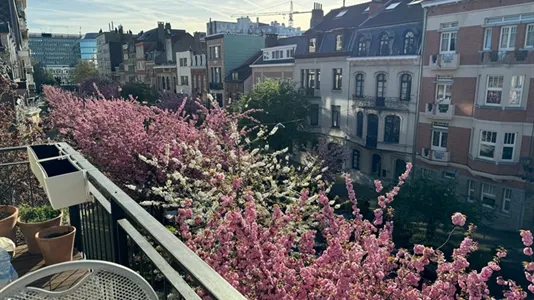 Apartments in Brussels Schaarbeek - photo 5