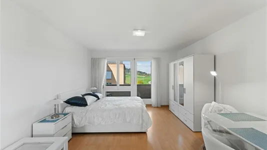 Apartments in Dielsdorf - photo 8