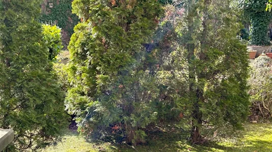 Apartments in Dusseldorf - photo 8