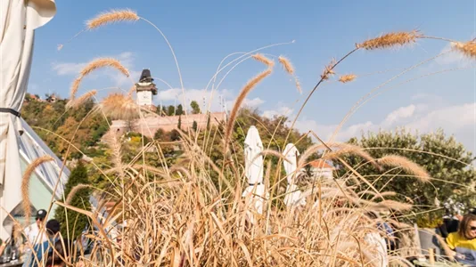 Apartments in Eggersdorf bei Graz - photo 9