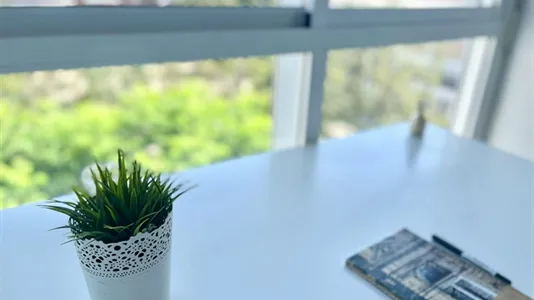 Rooms in Árbol Gordo - photo 4