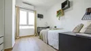 Room for rent, el Camí de Vera, Comunidad Valenciana, &lt;span class=&quot;blurred street&quot; onclick=&quot;ProcessAdRequest(10805099)&quot;&gt;&lt;span class=&quot;hint&quot;&gt;See streetname&lt;/span&gt;[xxxxxxxxxxxxx]&lt;/span&gt;
