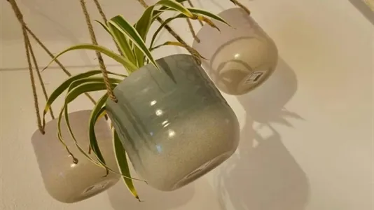 Apartments in Alter do Chão - photo 6