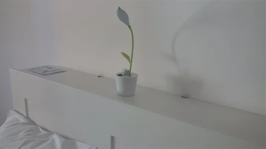 Rooms in Turin - photo 10