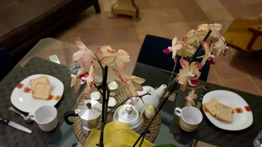 Apartments in Florence - photo 7