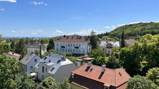 Apartments in Maria Enzersdorf - photo 9