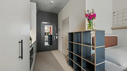 Apartments in Zug - photo 6