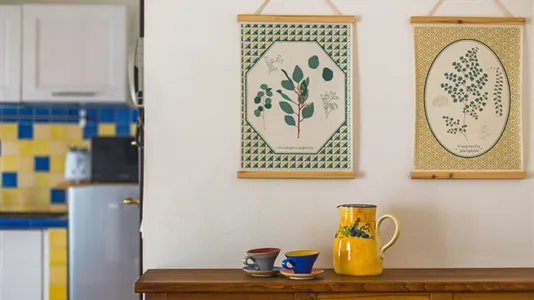 Apartments in Florence - photo 5