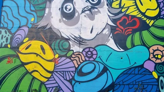 Rooms in Location is not specified - photo 9