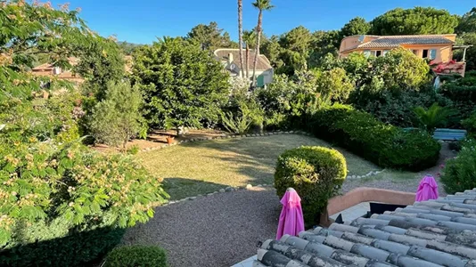 Houses in Sartène - photo 10