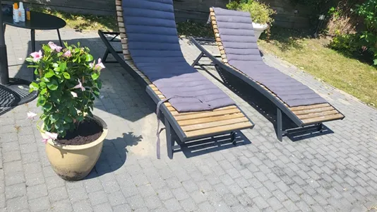 Houses in Westland - photo 4