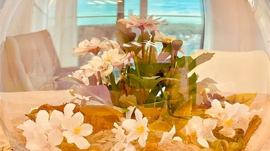 Apartments in Vienna Landstraße - photo 7