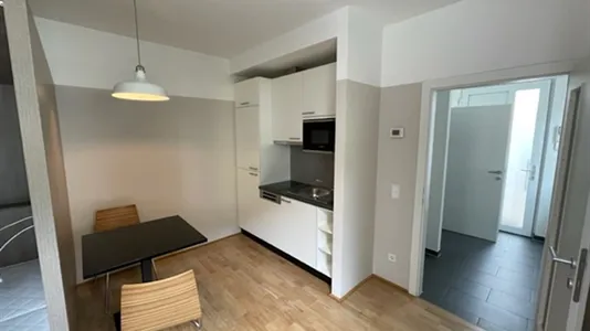 Apartments in Vienna Döbling - photo 8