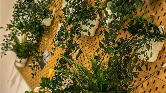 Apartments in Rhein-Kreis Neuss - photo 8