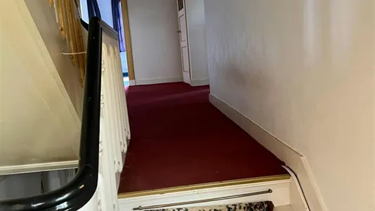 Houses in Hulst - photo 4