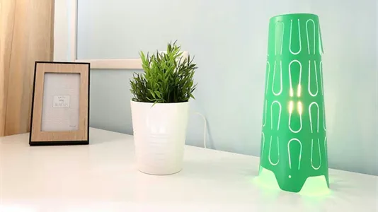 Rooms in Roma Municipio XIV – Monte Mario - photo 3