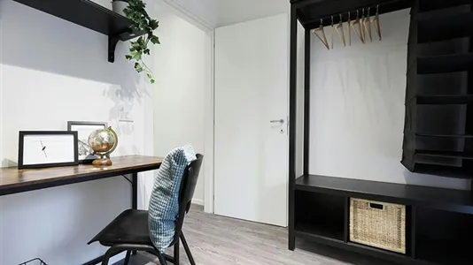 Rooms in Padua - photo 4