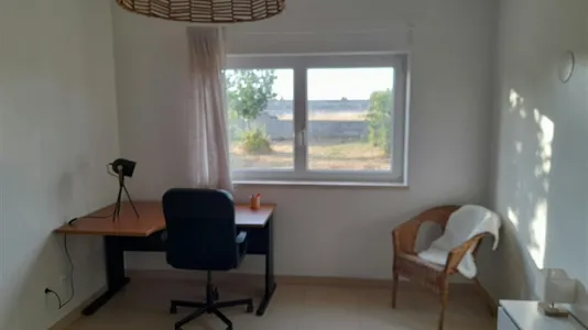 Houses in Montijo - photo 9