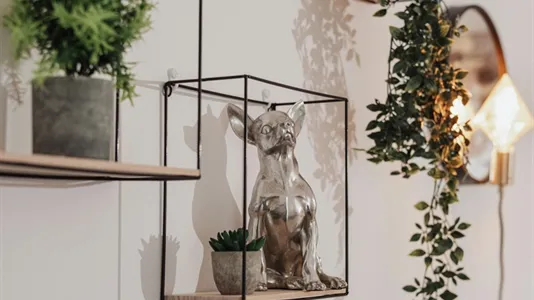 Apartments in Wien Mariahilf - photo 6