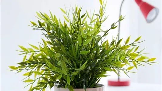 Rooms in Milano Zona 9 - Porta Garibaldi, Niguarda - photo 9