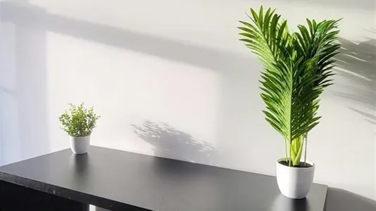 Apartments in Rotterdam Delfshaven - photo 4