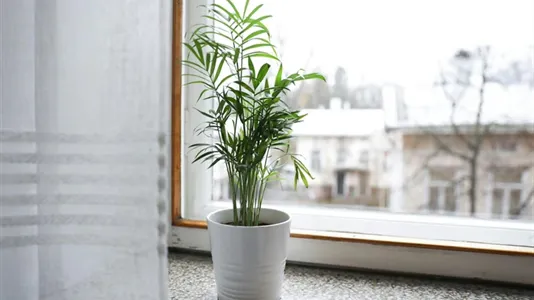 Apartments in Turku - photo 10